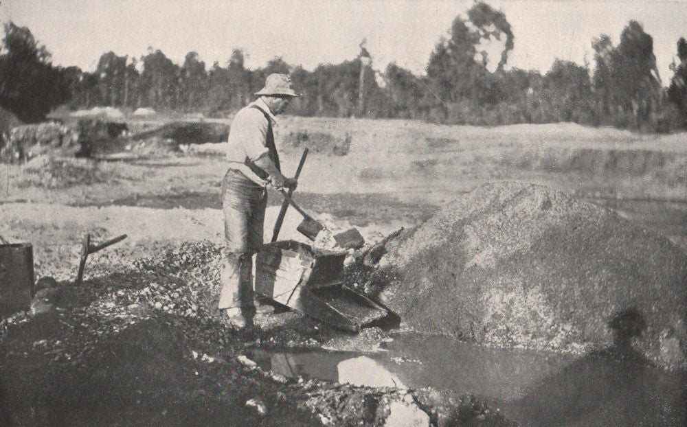 Alluvial Mining -  Cradling. Victoria, Australia. 1909 old antique print